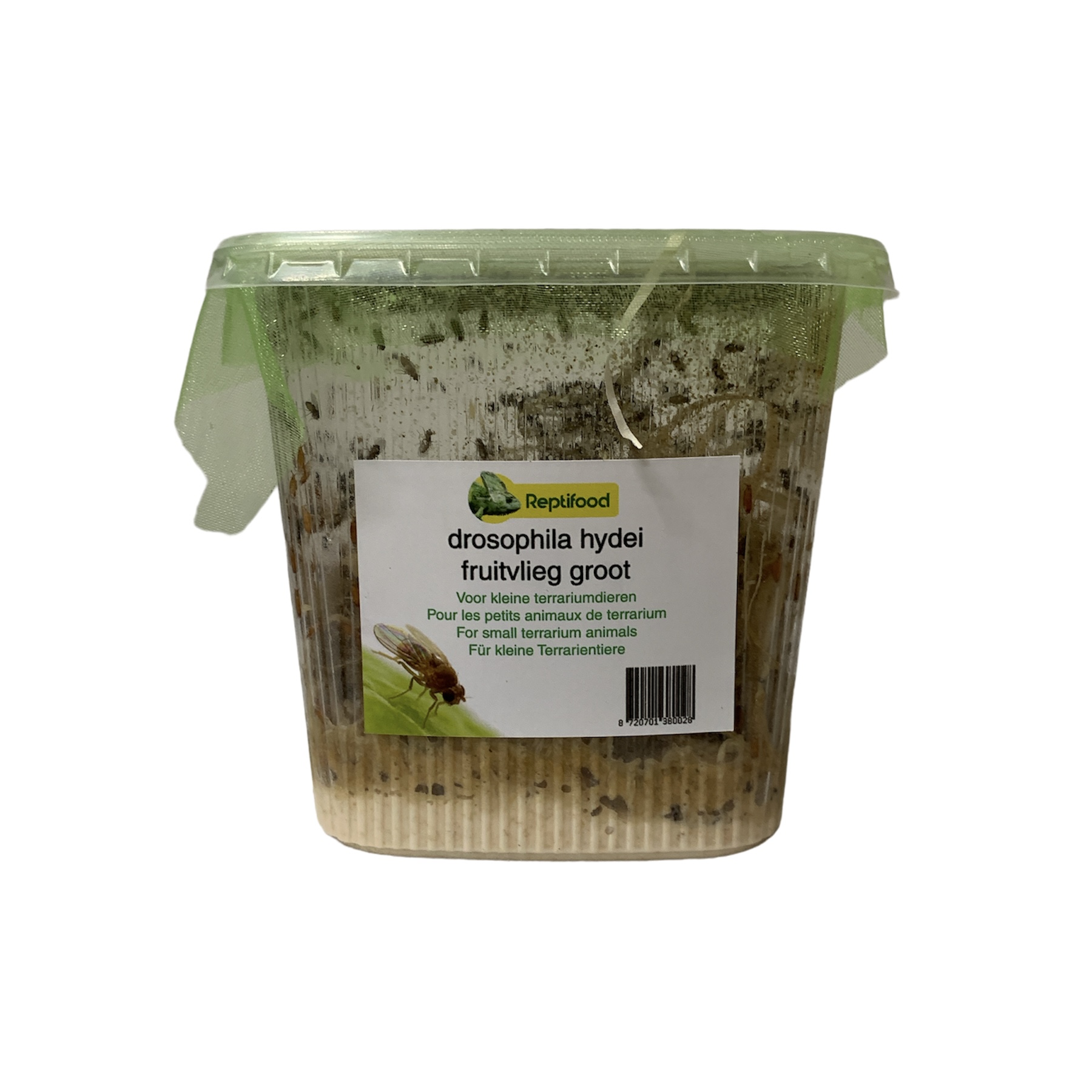 Fruitvliegen 7  in doosje